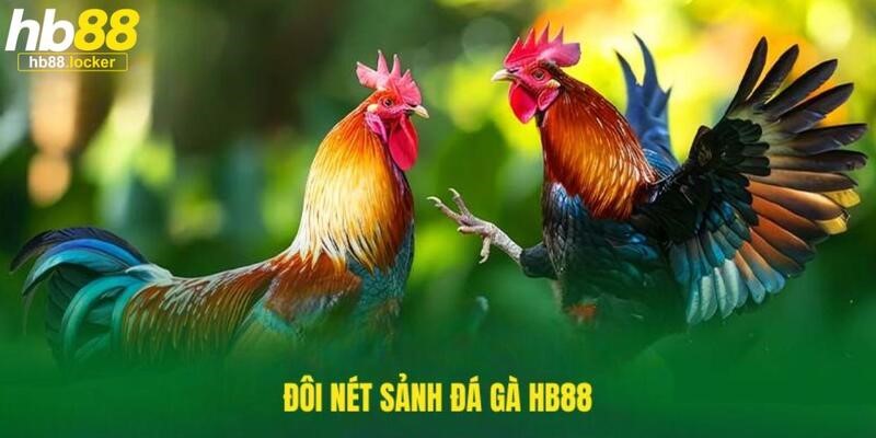 Đá gà HB88: Web chơi đá gà trực tuyến siêu hot 2025 2 Giới thiệu về lựa chọn hoàn hảo cho anh em